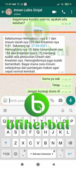 testiwa-ginjal8